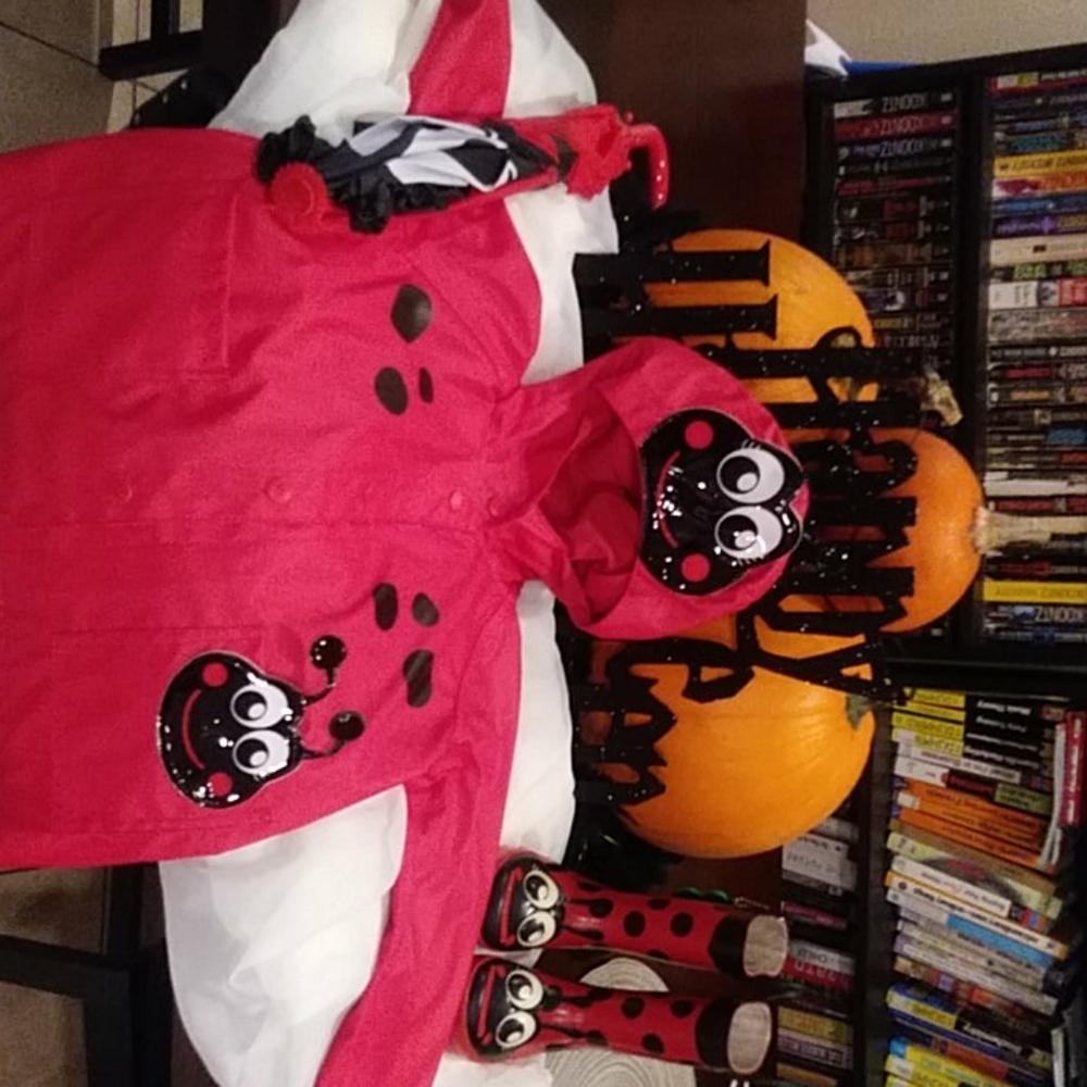 Set Western Chief Ladybug